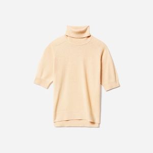Everlane Turtleneck Tee